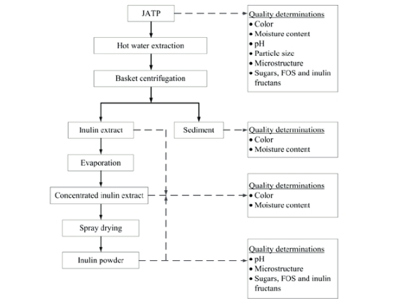 Commercial Inulin Extraction Process.png